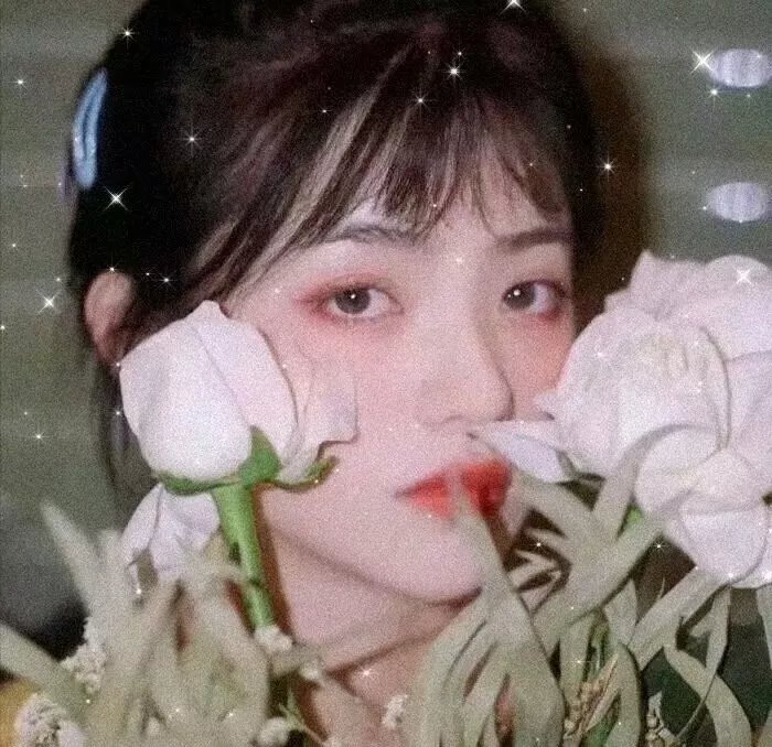 猫眼三姐妹第一季